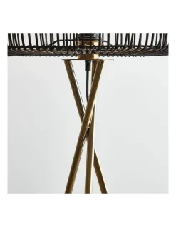 Best deal ❤️ Cooper & Co Martinique Floor Lamp 155cm In Black ⌛ 11 Best deal ❤️ Cooper & Co Martinique Floor Lamp 155cm In Black ⌛ -Oriel Lighting - shop unnamed file 1636