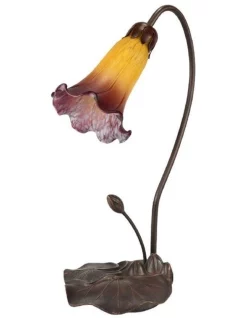 Brand new 😍 G&G Bro Single Lily Lamp Orange Wine 🎉